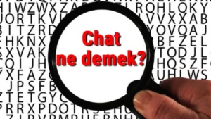 chat-nedir