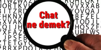 chat-nedir